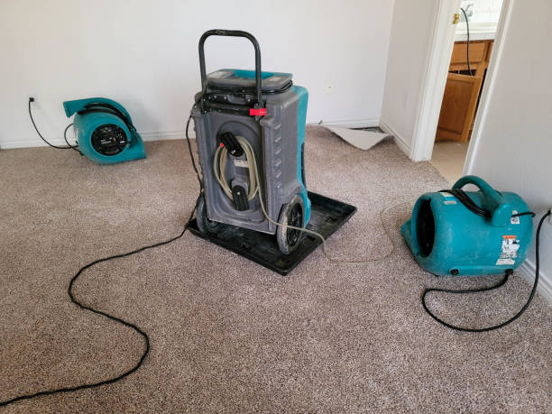 Best Water damage mitigation services  in Meggett, SC