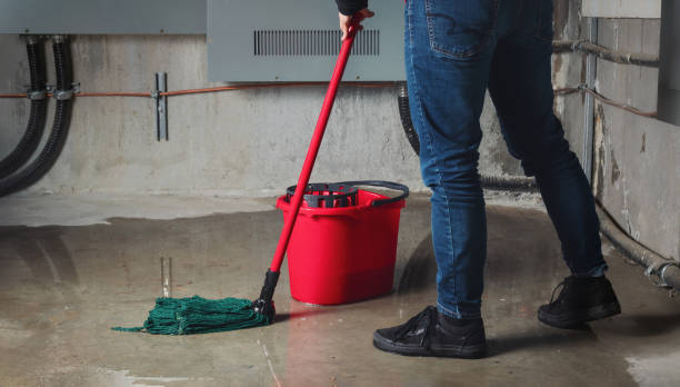 Best Ceiling water damage repair  in Meggett, SC