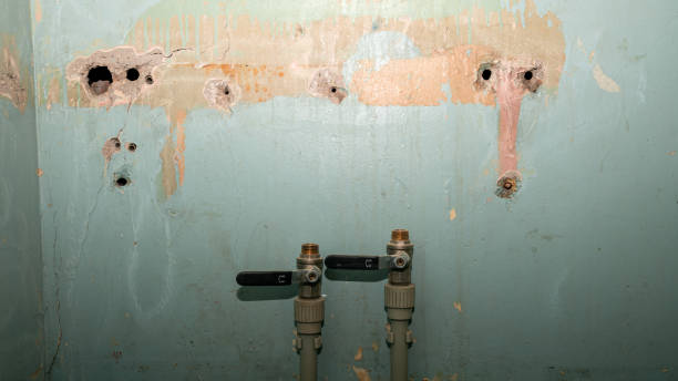 Water damage restoration insurance claims in Meggett, SC