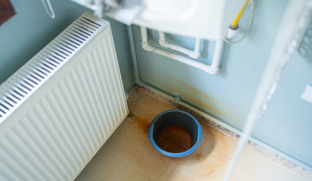 Best Water damage restoration mold remediation  in Meggett, SC