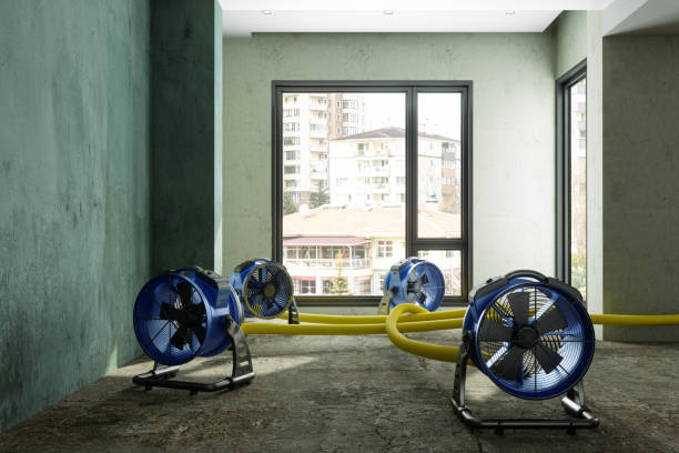 Best Sewage cleanup and water damage restoration  in Meggett, SC
